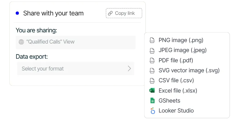 Data export and sharing interface showing options to share dashboards via link or export in PDF, CSV, Excel, and Looker Studio formats.