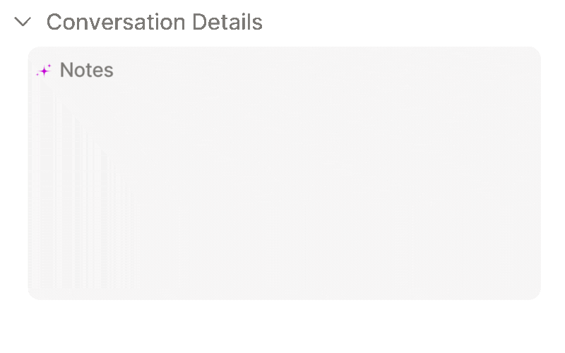 Conversation Details- AI notes