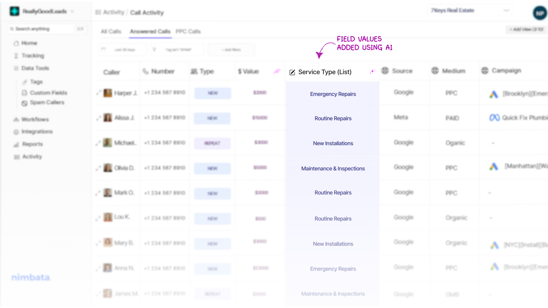 Call activity view enriched with ai custom field values-fully customizable to your needs