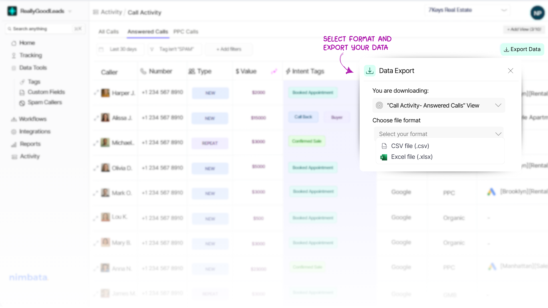 Export Leads on Call Activity view by choosing the file format- csv or xlsx.