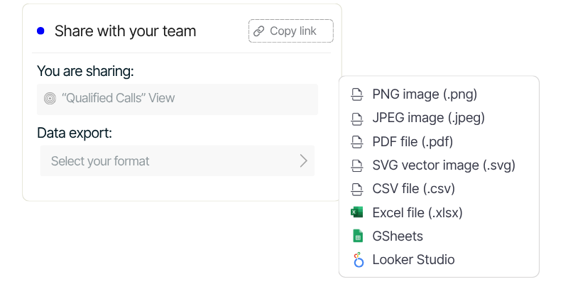 Data export and sharing interface showing options to share dashboards via link or export in PDF, CSV, Excel, and Looker Studio formats.
